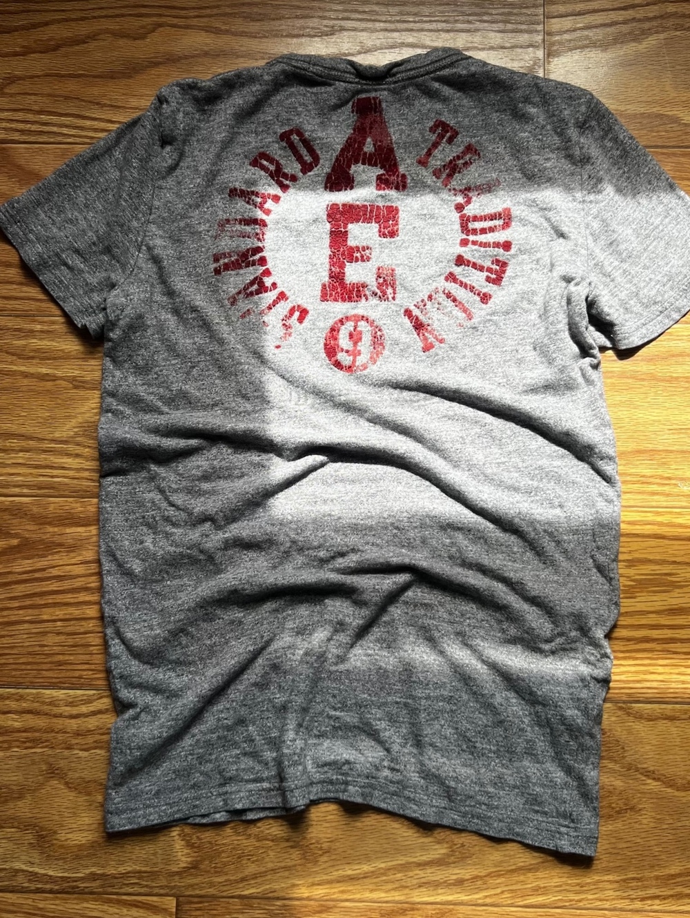 vintage fit american eagle grey tee y2k streetwear grunge skater vibe